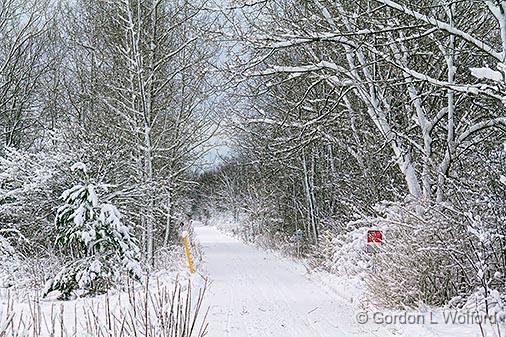 Wintry Cataraqui Trail_32387.jpg - Photographed near Lombardy, Ontario, Canada.